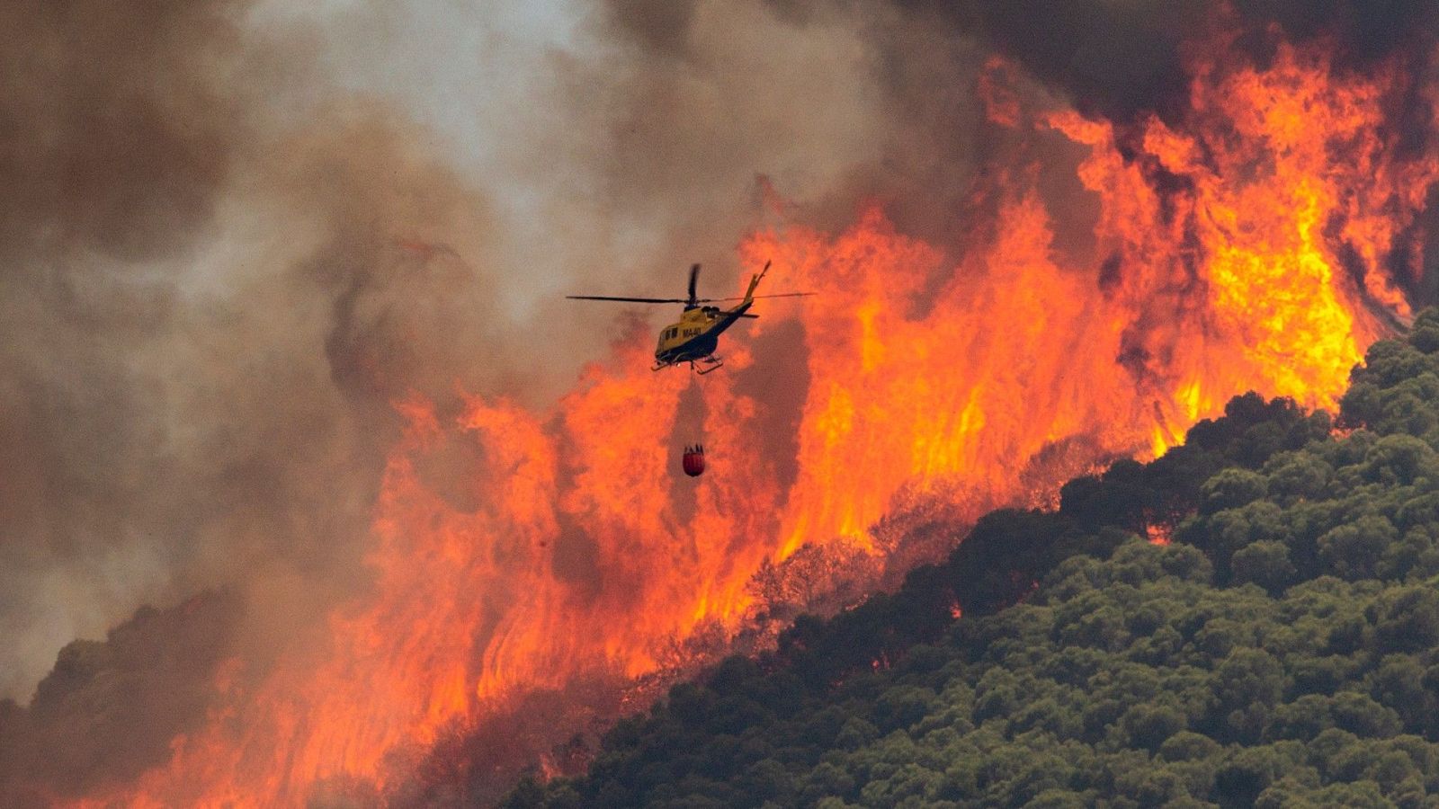 ¿Cómo se clasifican los incendios? - Aquí la Tierra | Ver