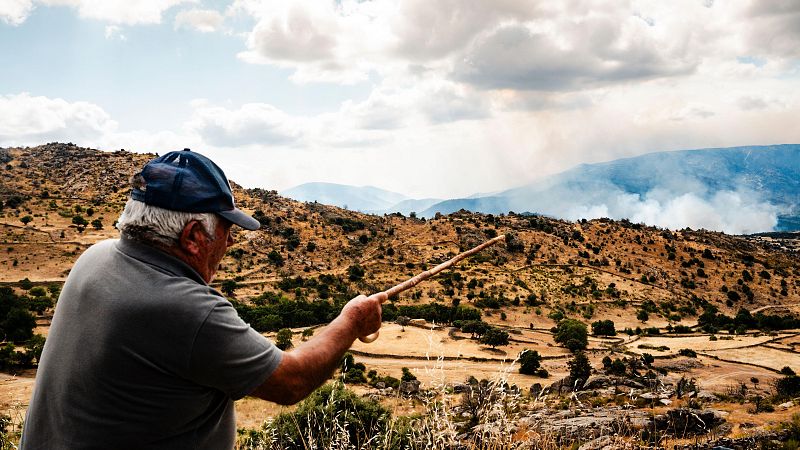 Hasta 30.000 personas están evacuadas o confinadas por el fuego en Ávila | Ver