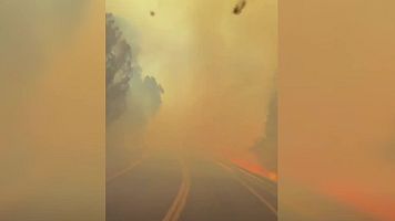 Bomberos de la Comunidad de Madrid circulan entre las llamas: "Dale pero sin parar"