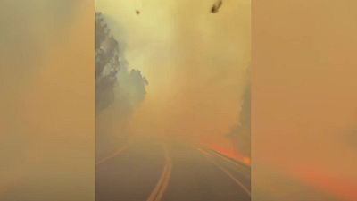 Bomberos de la Comunidad de Madrid circulan entre las llamas: "Dale pero sin parar"
