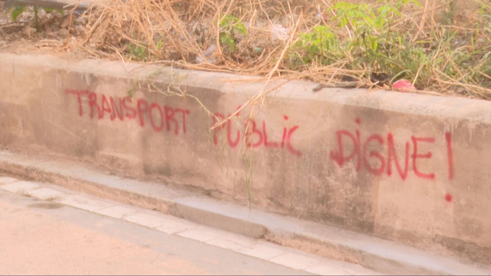 Grafiti rojo sobre muro de hormigón: "TRANSPORT PUBLIC DIGNE!". Vegetación y pavimento en la escena.