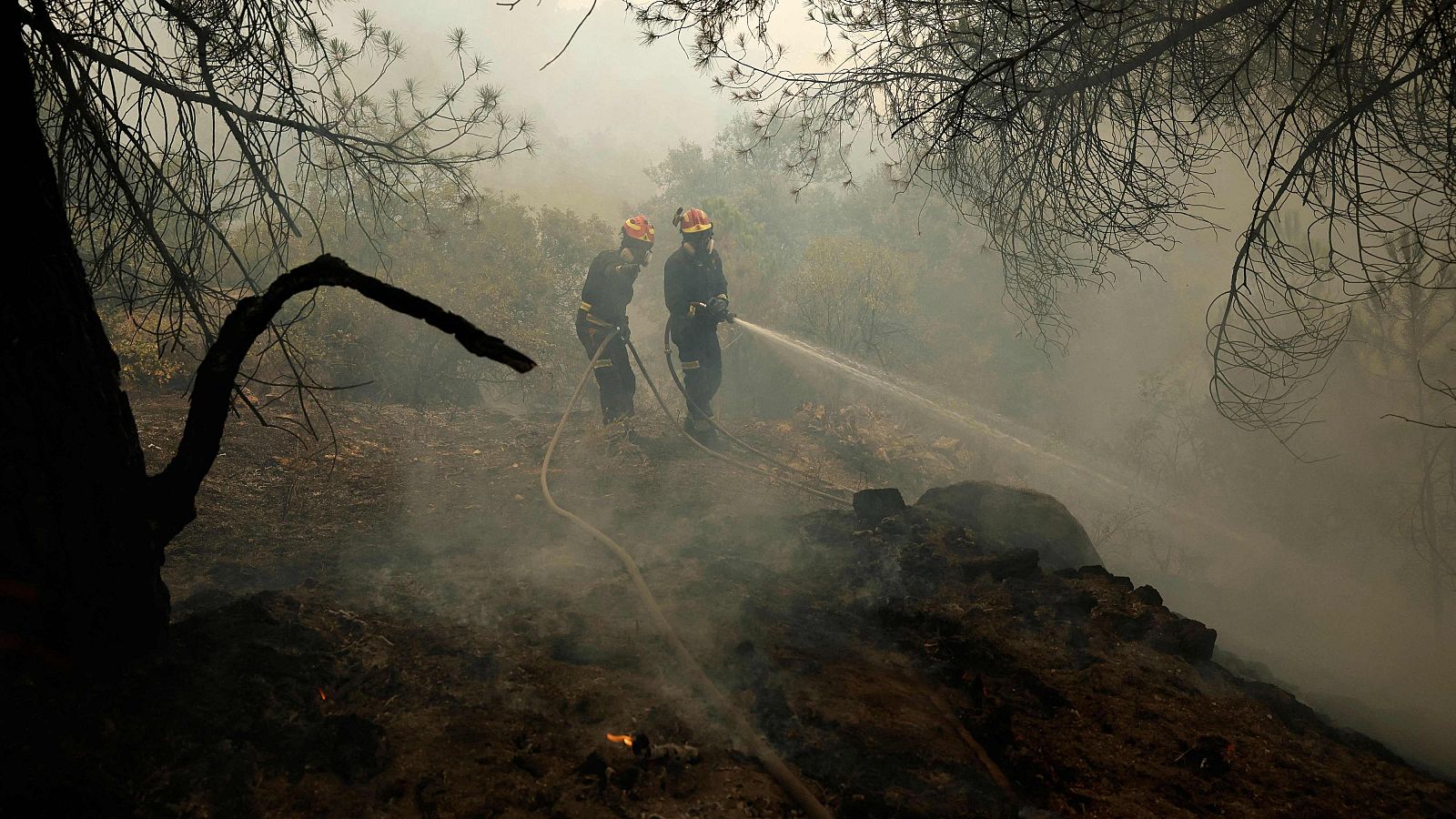 Bomberos combaten un incendio forestal en un paisaje humeante y carbonizado, utilizando mangueras para sofocar las llamas.