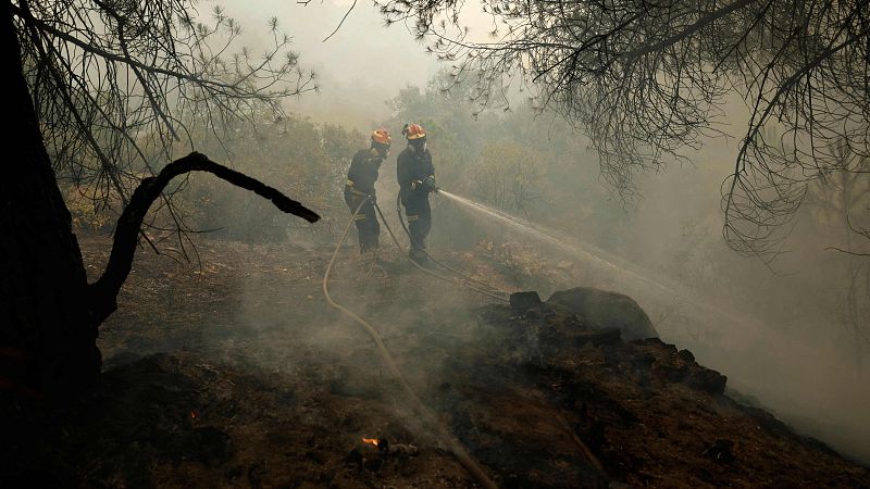 Bomberos combaten un incendio forestal en un paisaje humeante y carbonizado, utilizando mangueras para sofocar las llamas.
