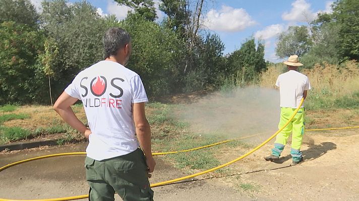 Noticias de Castilla y León - 'SOS Wild Fire', cursos para aprender a sofocar los incendios