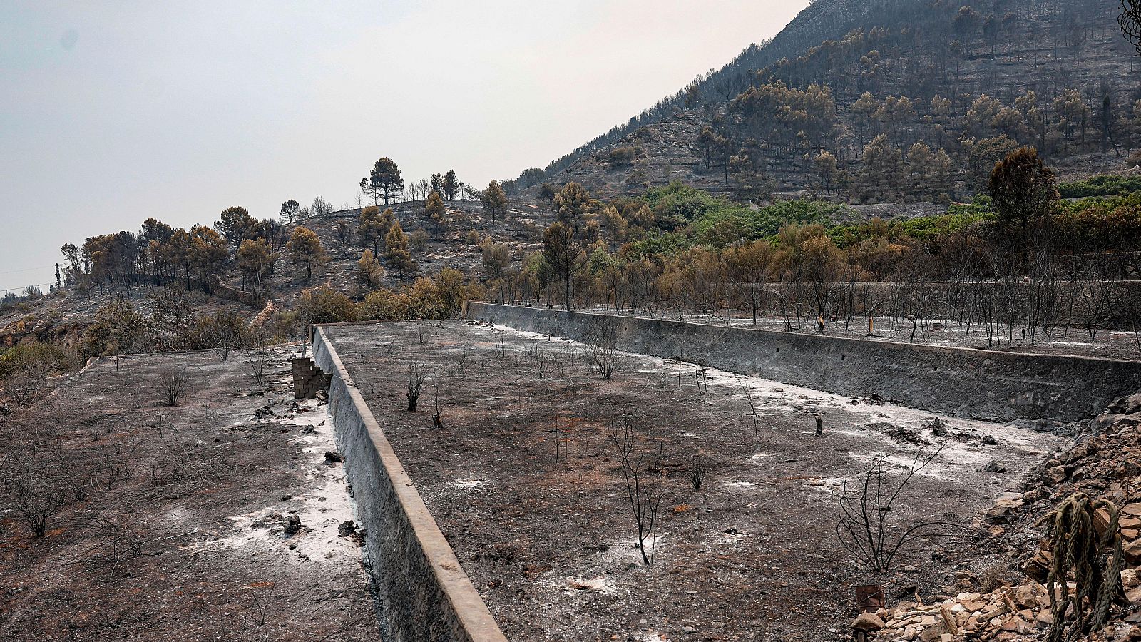 Más de 180.000 personas siguen evacuadas o confinadas por incendios que dejan ya 90.000 hectáreas afectadas - Telediario 2 | Ver