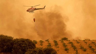 Incendios: Lucha contrarreloj por el riesgo del calor