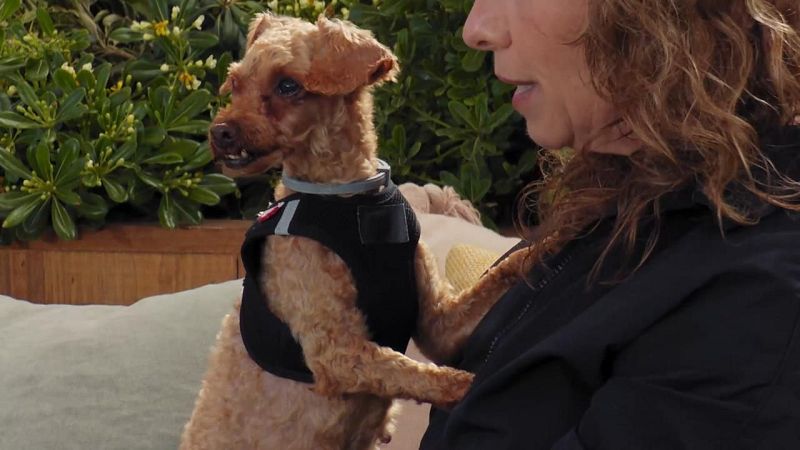 Nathalie seseña llega a 'Dog House' - Dog House | Ver