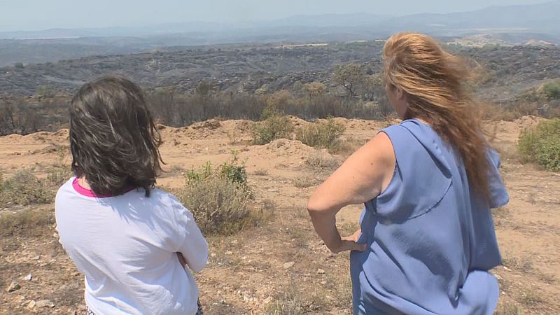 La vida después del incendio de La Mierla - Noticias de Castilla-La Mancha | Ver