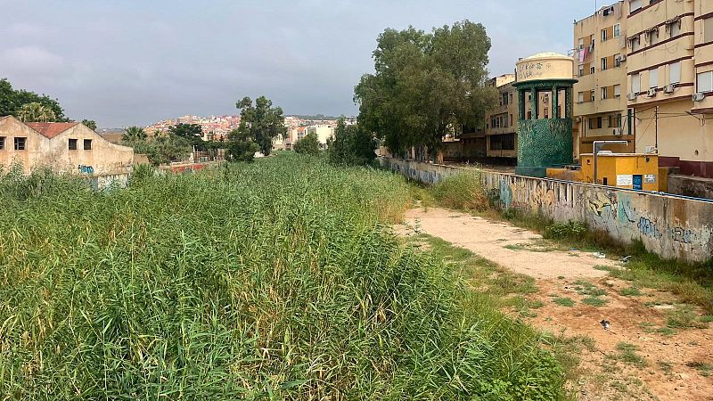 Medio Ambiente alerta del riesgo de incendio en el Río de Oro | Ver