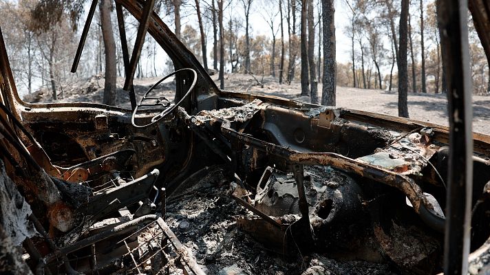  - Nuevas medidas para los afectados por los incendios que asolan España