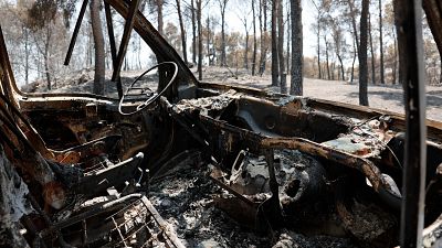 Nuevas medidas para los afectados por los incendios que asolan Espa�a