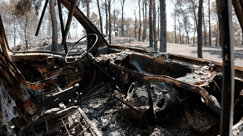 Nuevas medidas para los afectados por los incendios que asolan España