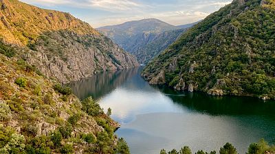 Piden un referendo sobre a candidatura da Ribeira Sacra a Patrimonio Mundial