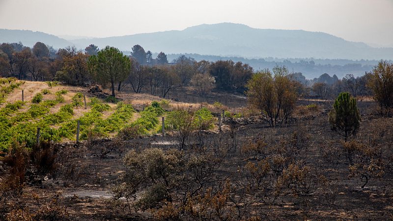 La bajada de temperaturas ha dado una tregua en la lucha contra los incendios en Ávila - Informativo 24h | Ver