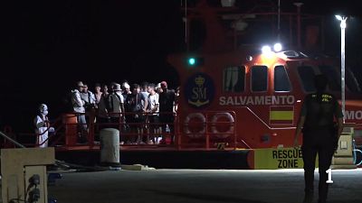 El Govern alerta de la consolidaci� de la ruta migrat�ria entre Alg�ria i les Balears