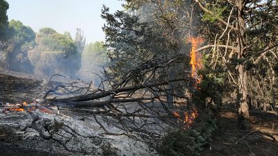 Los incendios de Madrid y Ávila mejoran durante la noche