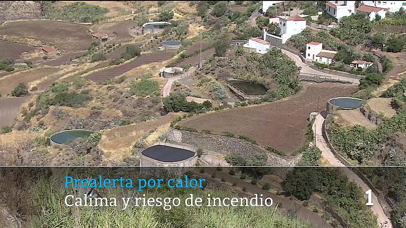 Telecanarias - 29/07/2026 | Ver