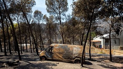 El incendio de Vall d'Uix� se convierte en uno de los m�s devastadores de la Comunitat Valenciana