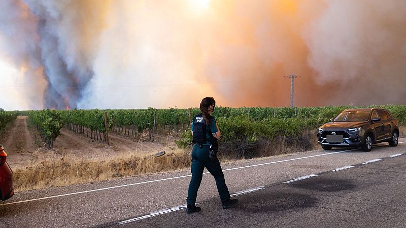 Una vecina de Fermoselle: "Se está intentando que el fuego no llegue a las zonas urbanas" - Informativo 24h | Ver