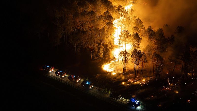 "Los bosques no entienden de periodos electorales" - 24 horas | Ver