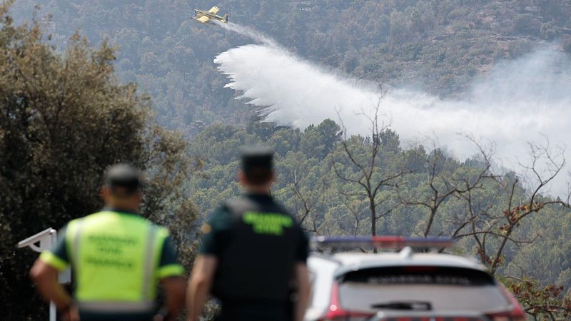 Retos forestales de presente y futuro: cómo prevenir nuevos incendios