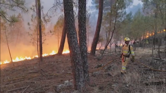 Los bomberos forestales c�ntabros regresan a casa despu�s de colaborar con los incendios de �vila