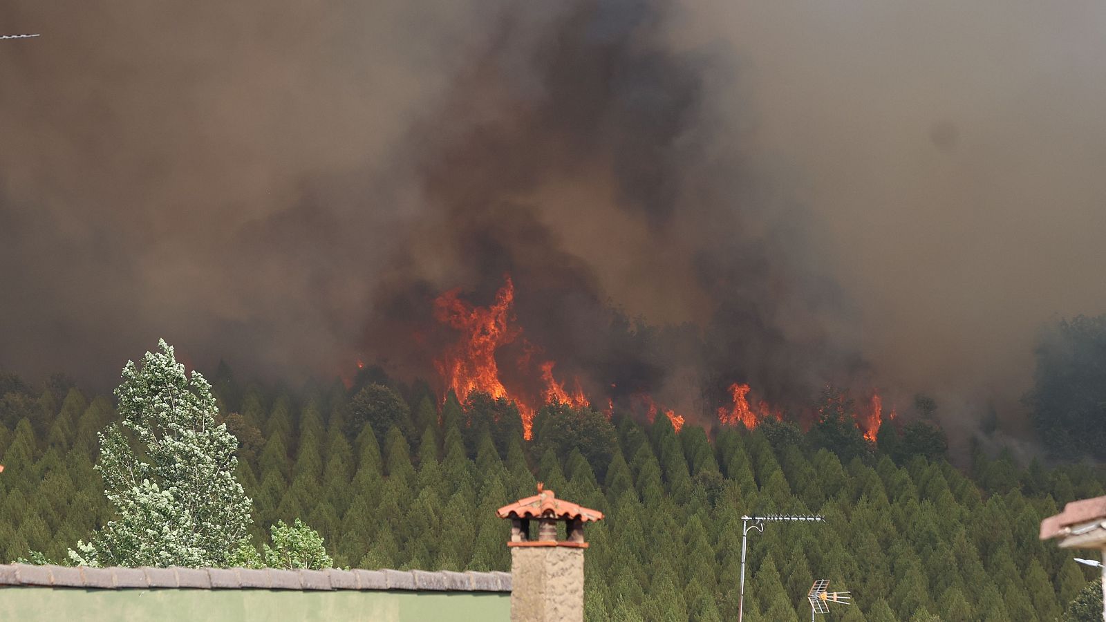 Varios incendios asolan la provincia de León