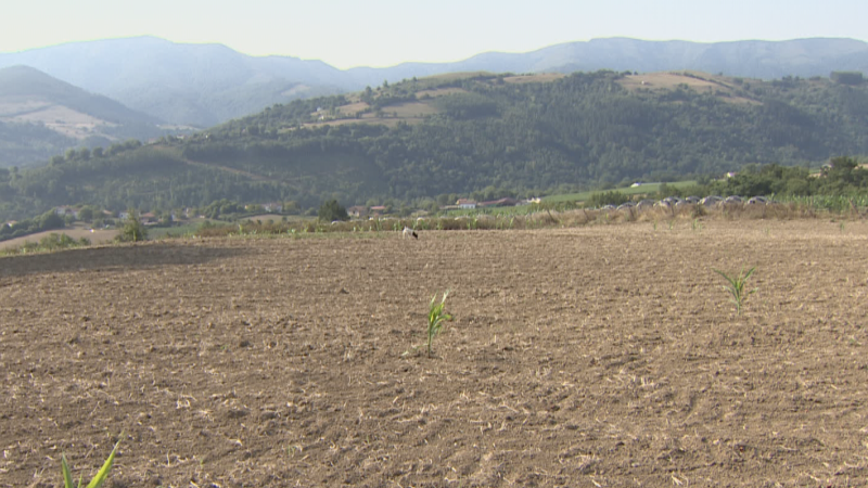 El campo vasco está muy afectado por la sequía