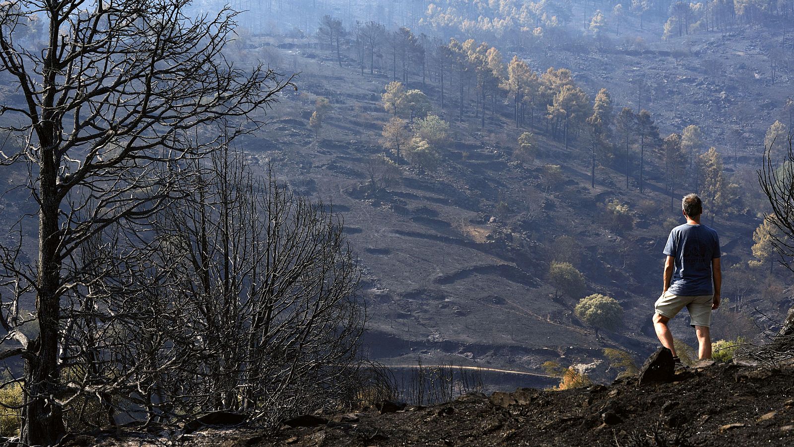 El incendio de Navaluenga baja a IGR2 y dice adiós a la Emergencia Nacional