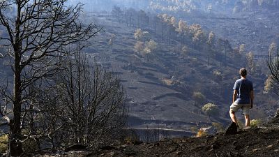 El incendio de Navaluenga baja a IGR2 y dice adi�s a la Emergencia Nacional