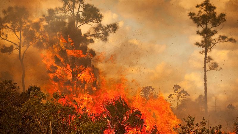 ¿Qué pena puede tener ser autor de un incendio? - Noticias de Castilla y León | Ver
