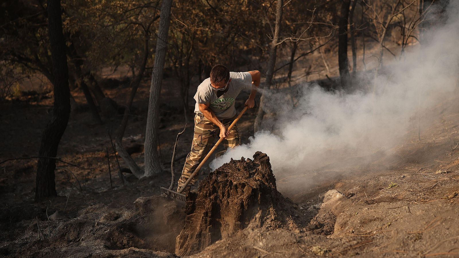 Se cumplen 10 días del incendio de Burgohondo - Noticias de Castilla y León | Ver