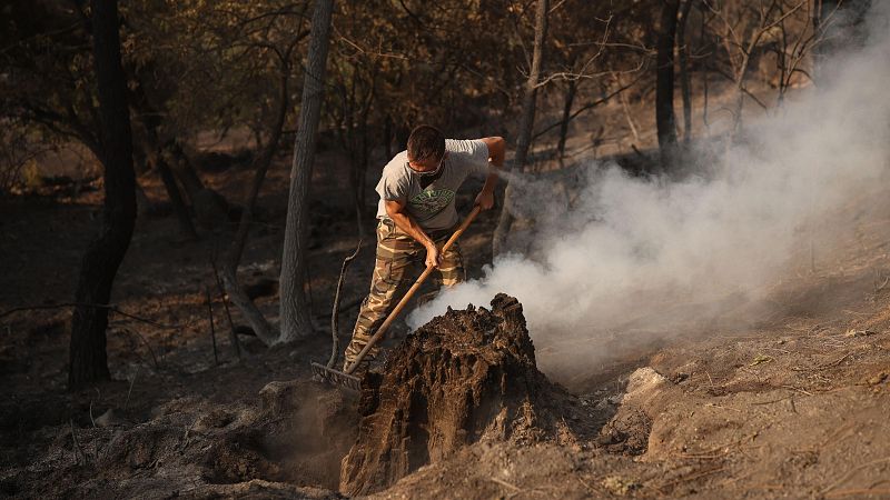 Se cumplen 10 días del incendio de Burgohondo - Noticias de Castilla y León | Ver
