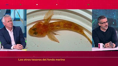 Los otros 'tesoros' del fondo marino