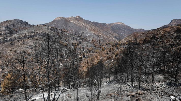 Informativo 24h - Todos los incendios que han azotado la península se encuentran ya estabilizados
