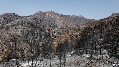 Paisaje quemado en La Vall d'Uix�, donde el incendio declarado el pasado s�bado ha podido ser estabilizado