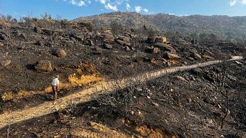 Fuego, emergencia nacional