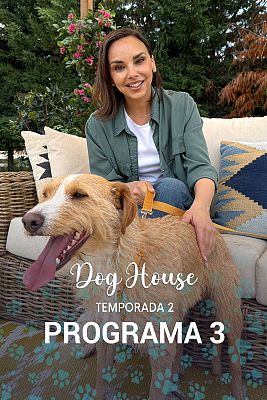 Dog House - Programa 3