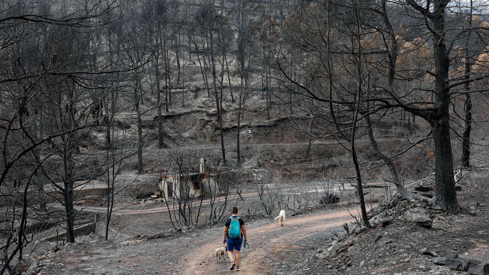 El veïnat afectat per l'incendi de la Vall d'Uixó recupera a poc a poc la normalitat - L'informatiu - Comunitat Valenciana | Ver