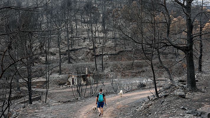 L'informatiu - Comunitat Valenciana - El veïnat afectat per l'incendi de la Vall d'Uixó recupera a poc a poc la normalitat