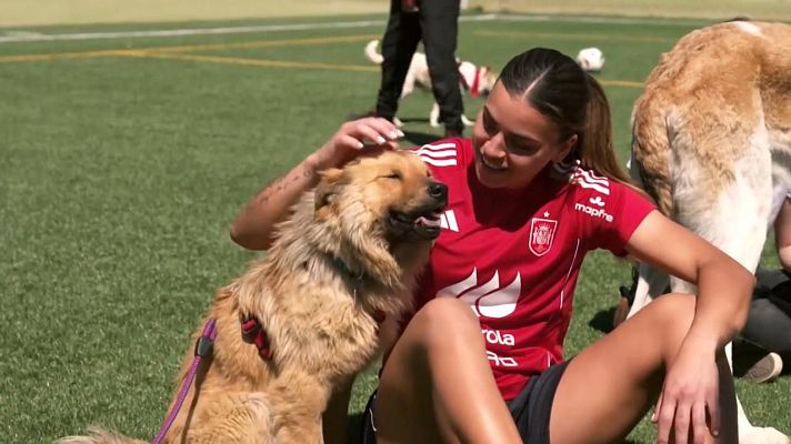 Dog House - 'Dog House' se cuela en la Real Federación Española de Fútbol