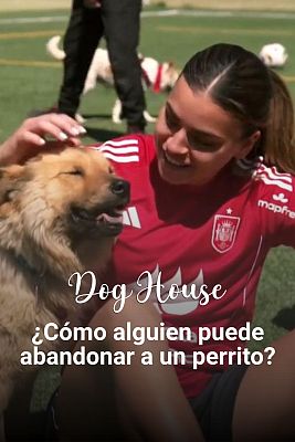 Dog House - 'Dog House' se cuela en la Real Federación Española de Fútbol