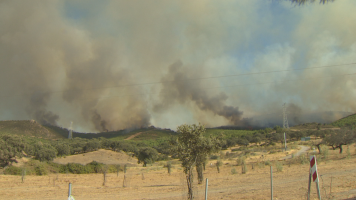 Casas de Millán solicitará la declaración de zona catastrófica por los daños del incendio