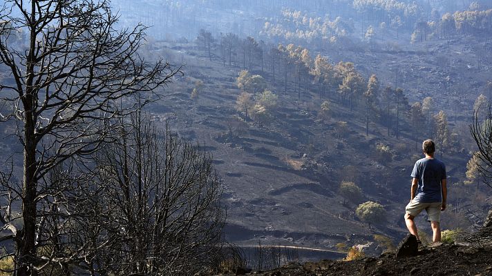 Noticias de Castilla y León - El incendio de Burgohondo está estable y sin llama
