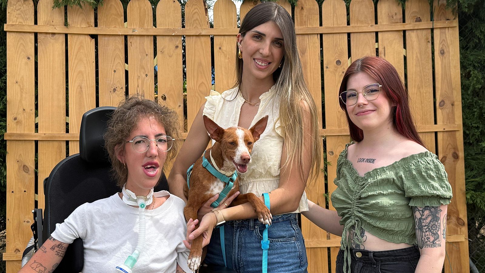 Nuevo reto en Dog House - Dog House | Ver