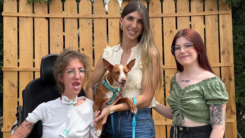 Nuevo reto en Dog House - Dog House | Ver