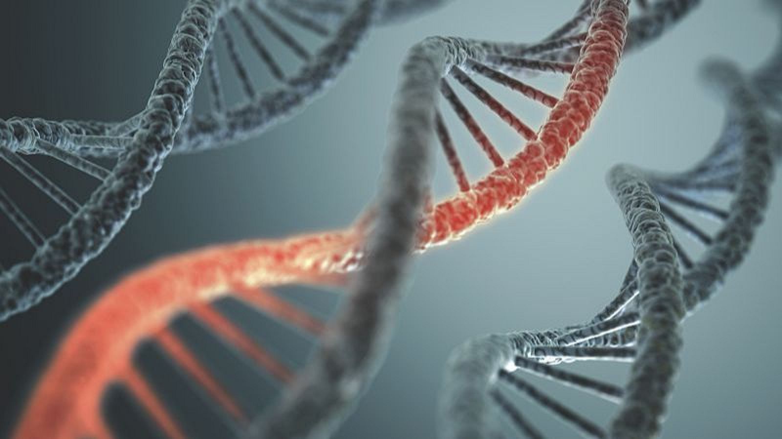 Los especialistas dedicados a la genética reclaman la creación de la especialidad