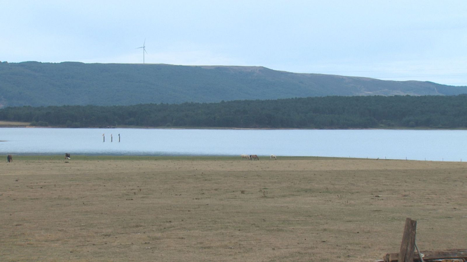 Un proyecto piloto identificará refugios climáticos en tres municipios del sur de Cantabria - TeleCantabria | Ver