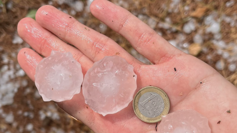 Mano humana con granizo de gran tamaño y moneda de 1 euro, mostrando la magnitud de una tormenta. Fondo con restos de granizo y vegetación.