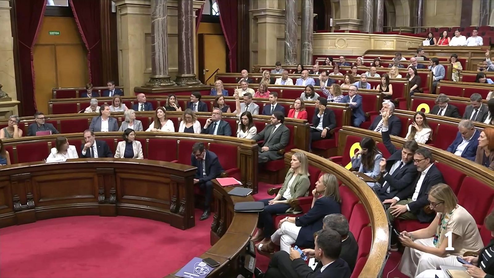 El Consell de Garanties qüestiona la llei contra la compra especulativa - L'Informatiu | Veure
